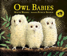 Owl Babies Hardcover Picture Book.