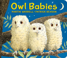 Owl Babies Board Book