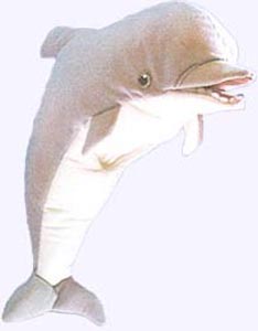 16 in. Dolphin Hand Puppet.