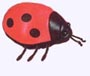 7 in.Grouchy Ladybug Plush