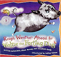 Rough Weather Ahead Hardcover Picture Book