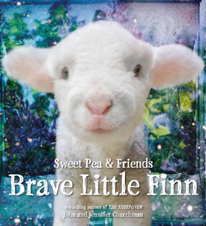 The Brave Little Finn Hardcover