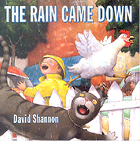 The Rain Came Down Hardcover Picture Book