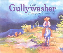 Gullywasher Paperback Picture Book