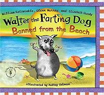 Banned from the Beach Hardcover Picture Book
